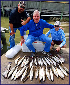 Speckled Trout Trips Speckled Trout Trips